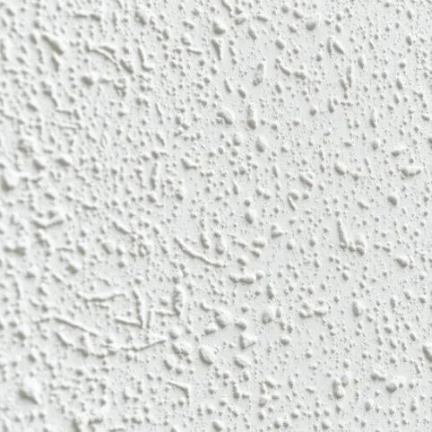 Po jakim czasie można malować tynk mineralny